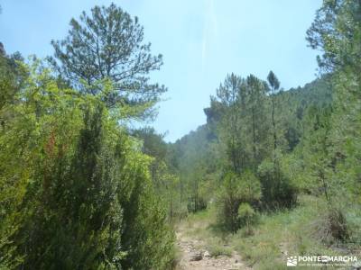 Hoz del Río Escabas-Serranía de Cuenca;berrea en cazorla viajes puente de octubre el paseo el esco